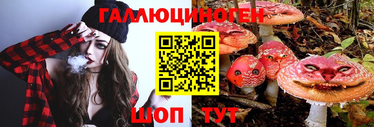 Псилоцибиновые грибы мицелий  Вход с VPN  Елизово 